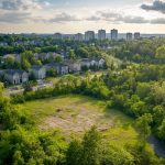 Prix d'un abattage d'arbre